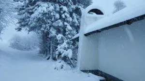 Chalet Charbonnier - Wittenschwand