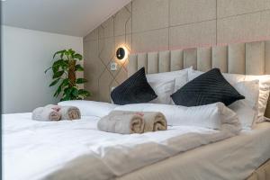 Dasto Jacuzzi Old Town Cracow