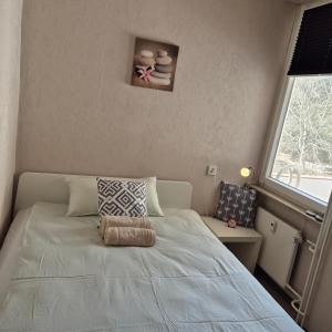 Ferienapartment "Amina" in Hahnenklee