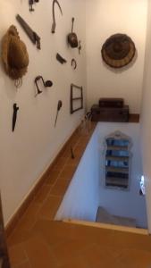 LA PAJARELLA di ZOER