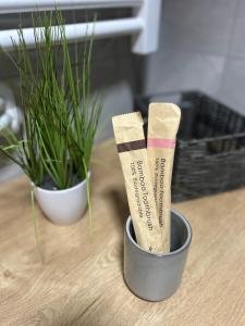 NOVI SAD CITY CENTER