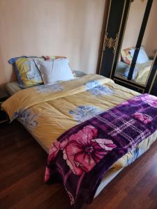 Maisons d'hotes Ina-Olivia F5 a Massy : photos des chambres