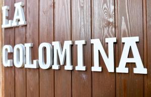 Casa Joana - Apartamento La Colomina- se admiten mascotas