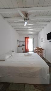 Lavender studio