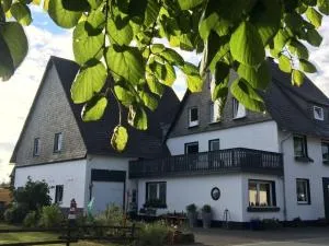 Ferienhaus Winterberg Lodge - Mollseifen