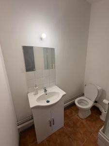 Grand studio proche centre