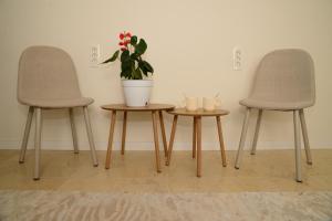 Central Premium Apartment