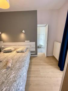 Appartements Appart-Village Le vieux Vichy centre T1,T2,T3 - Parking - Thermes : photos des chambres