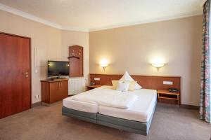 1 Raum Apartment großer Balkon