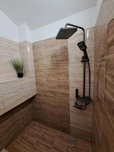 Regim Hotelier Pietonală