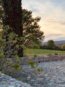 Provencal farmhouse in Luberons heart with pool
