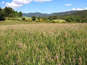 Provencal farmhouse in Luberons heart with pool