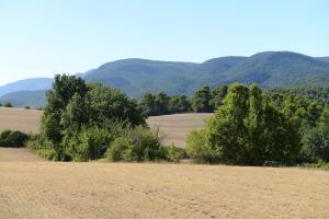 Provencal farmhouse in Luberons heart with pool