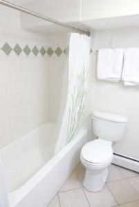 Charming City Centered Walk to Zoo