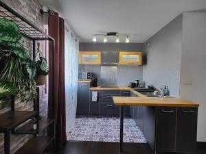 Appartements Cocoon'Inn Blagnac : Appartement 1 Chambre