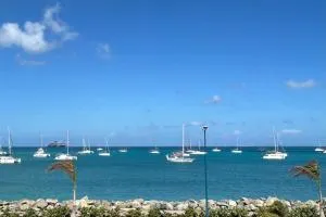 Les Paletuviers - Marigot