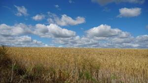 Pension Limone Ferienwohnung 2