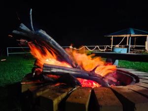 Cloud & Mist Inn-Whole Villa Stay with Mountain Views in Kotagiri, Near Ooty