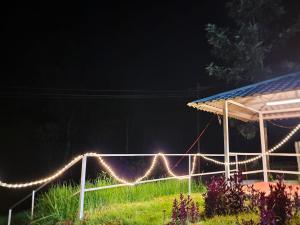 Cloud & Mist Inn-Whole Villa Stay with Mountain Views in Kotagiri, Near Ooty