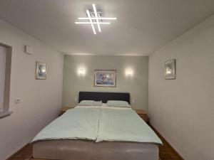 Apartment Camelia