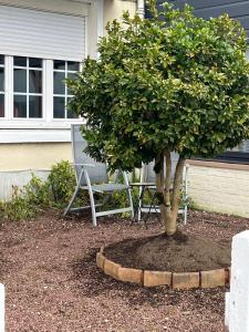 Maisons de vacances Fair Field : photos des chambres