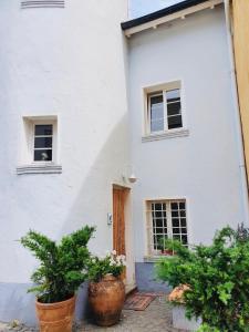 Ferienwohnung Villa Wolke