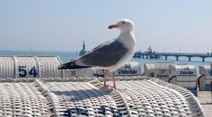 Ferienhof Kruse Wohnung 8