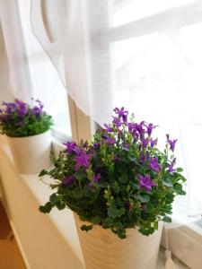 B&B / Chambres d'hotes Chambres d'hotes 