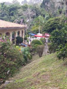 Hotel California Pacho