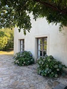 Villas Stylish villa with large pool and stunning views : photos des chambres