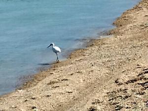 Studio com ar condicionado e estacionamento gratuito próximo ao aeroporto e praias