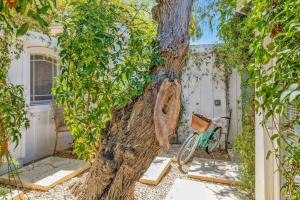 Gillians Room- Pet Friendly