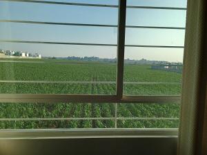 Close to Zoo and Metepec admirable views