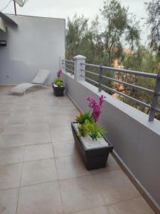 entire apartment in marrakech guiliz