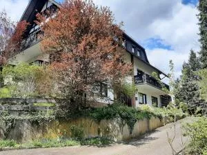 Ferienwohnung Waldblick - Neukirchen
