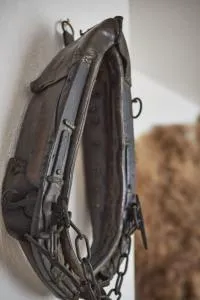 Fewo Bubenberg - Kröge