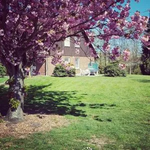 Appartement 2 Einzelzimmer Altes Land Jork bei HH - 韦德尔