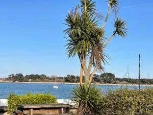 Résidence V01-tregastel - Studio dans le centre plages et commerces à pied MAE-5111