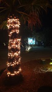 ANDESA Mobile Home Pirovac- Perfect vacation in a campsite with a pool, few steps from the sea!