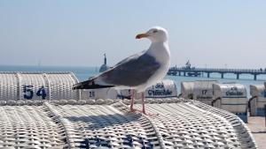 Ferienhof Kruse Wohnung Nr 2