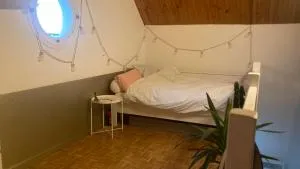 La chambre du lac - Brégnier-Cordon