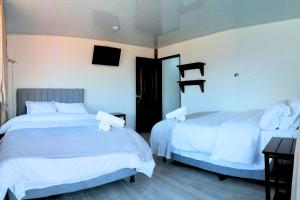 Apto 201 Apartahotel Los Pinos