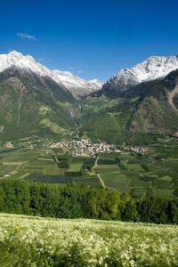 Fewo Zweiraum im Haus Götsch 4