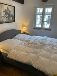 Halberstädter Fachwerktraum