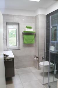 Villa Grün, Loft- Wohnung 09