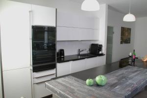 Villa Grün, Loft- Wohnung 09