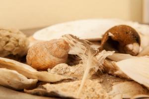 Grietjes Huus Whg Glashuus