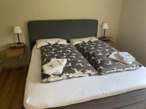 Ferienwohnung Partnacheck