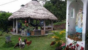 Balneario Suzne