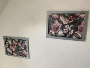 Erica Ferienwohnung auf dem Traumpfad